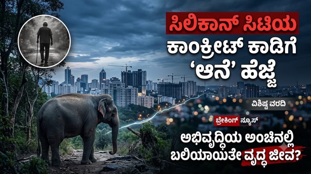 elephant attack in bengaluru 